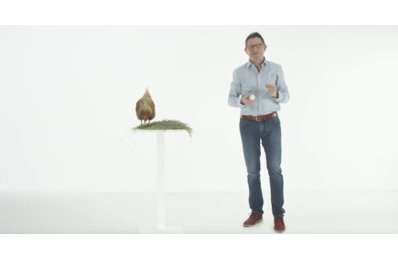 hammer hnc produktvideo.jpg