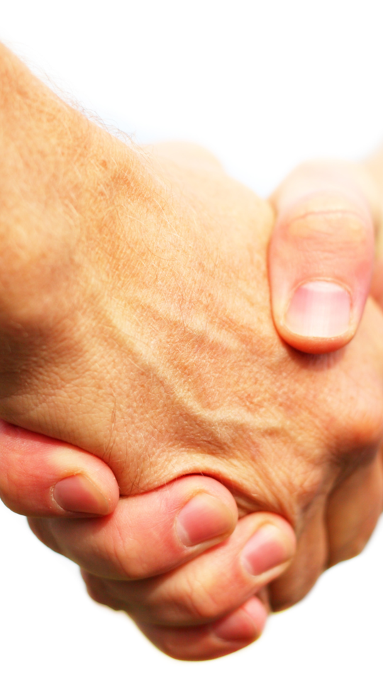 -strong-felder-group-belgie-strong-